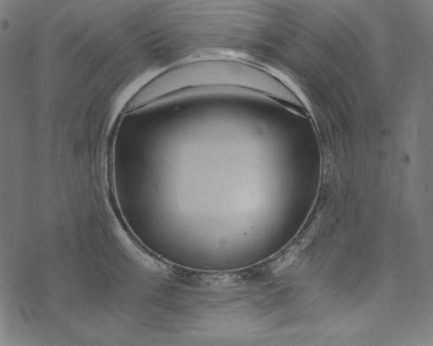 X0000073751003200608171326