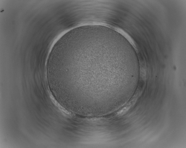 X0000073751004200608171326