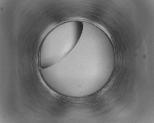 X0000073751007200608171326