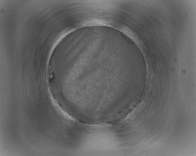 X0000073751008200608171326