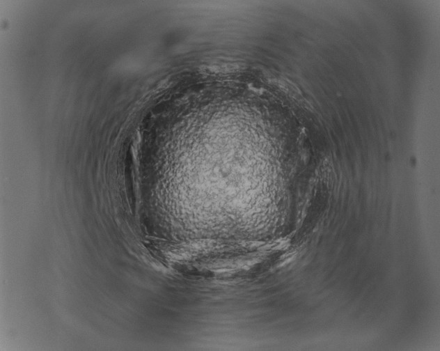 X0000073751009200608171326