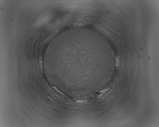 X0000073751011200608171326