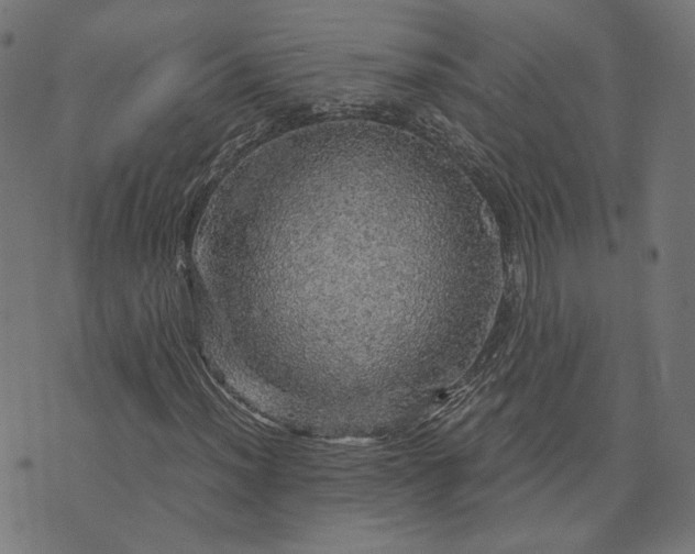 X0000073751012200608171326