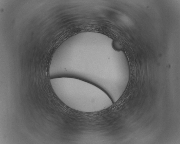 X0000073751013200608171326