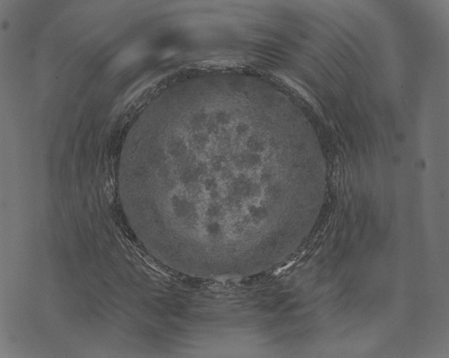 X0000073751015200608171326