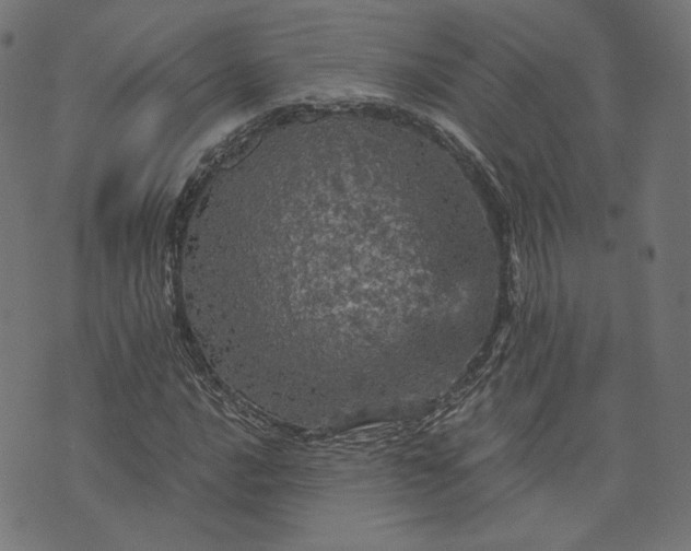 X0000073751016200608171326