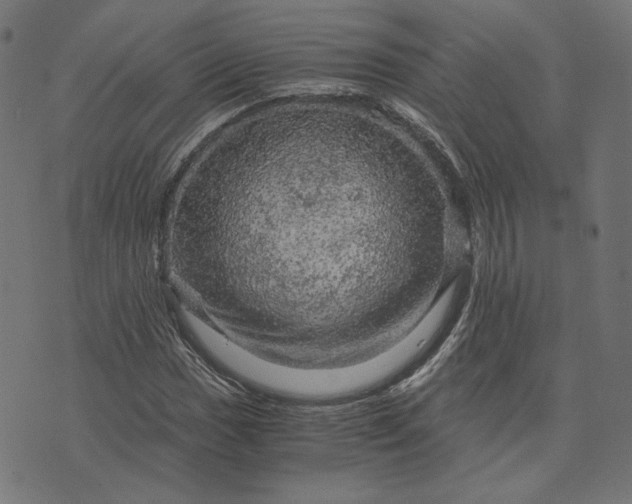 X0000073751017200608171326