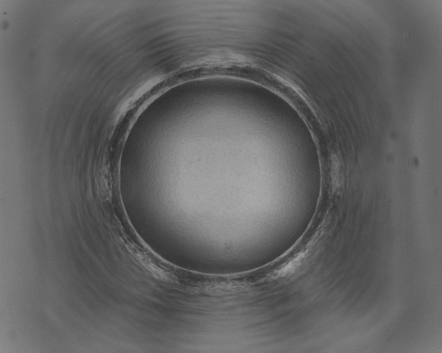 X0000073751018200608171326