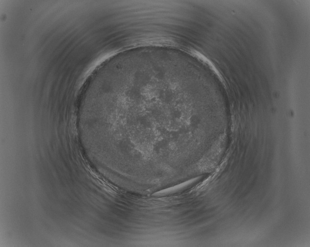 X0000073751019200608171326