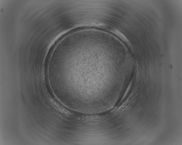 X0000073751020200608171326