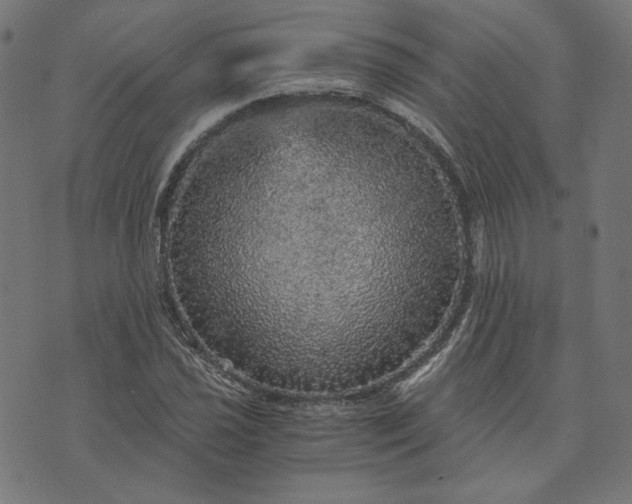 X0000073751021200608171326