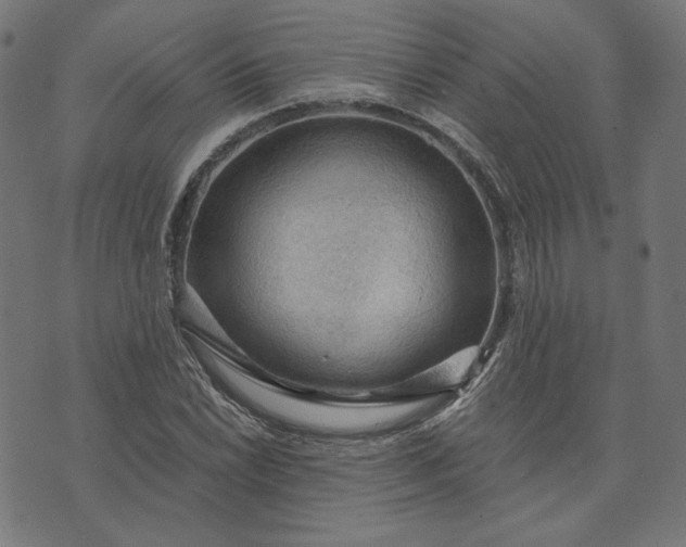 X0000073751022200608171326