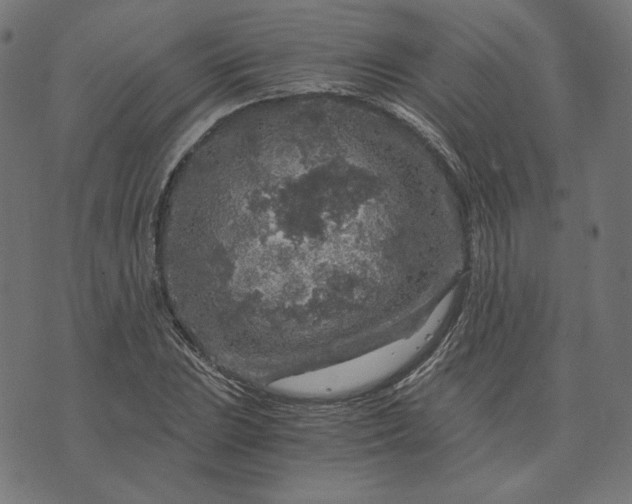 X0000073751023200608171326