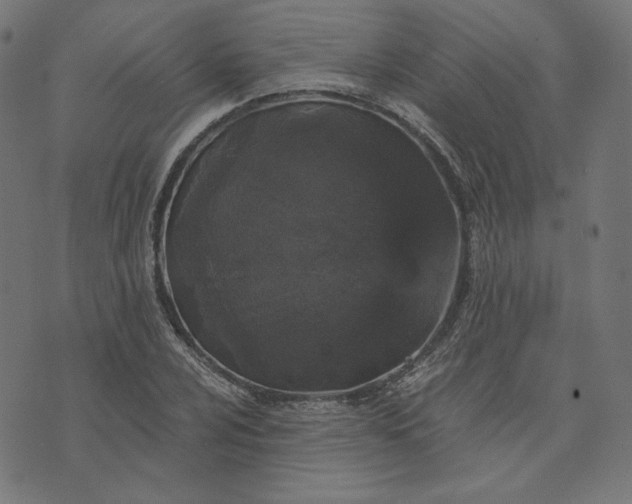 X0000073751024200608171326