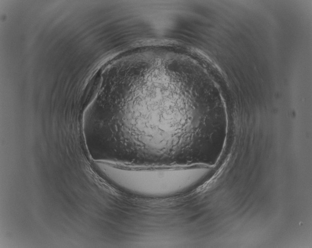 X0000073751025200608171326