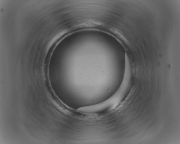 X0000073751026200608171326