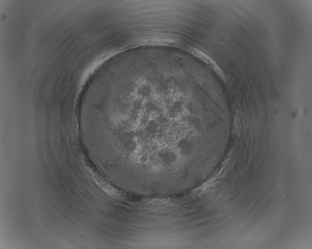 X0000073751027200608171326