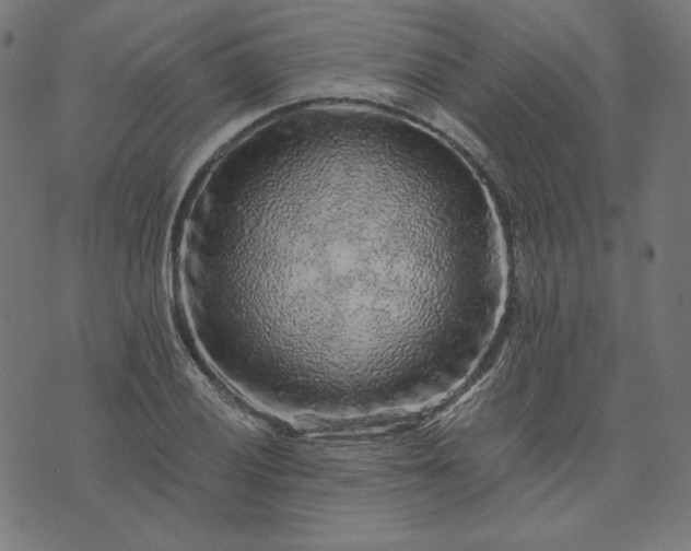 X0000073751028200608171326