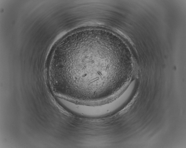 X0000073751029200608171326