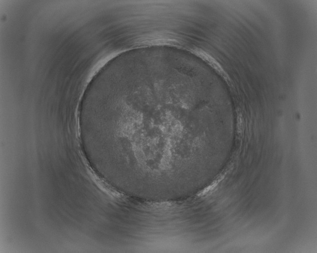 X0000073751031200608171326