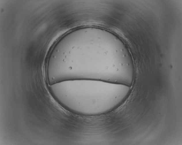 X0000073751032200608171326