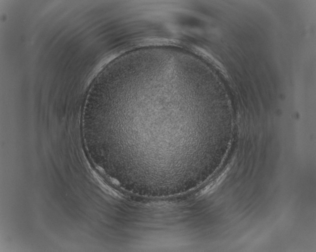 X0000073751033200608171326