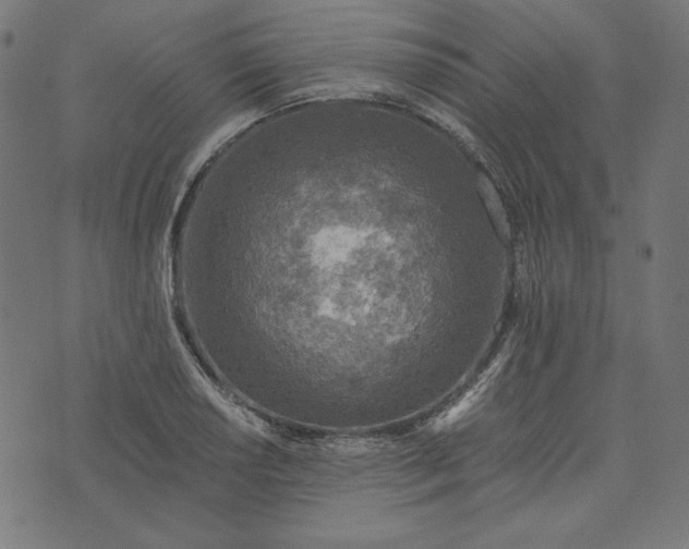 X0000073751034200608171326