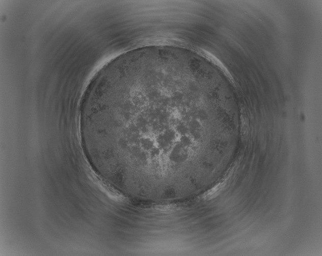 X0000073751035200608171326