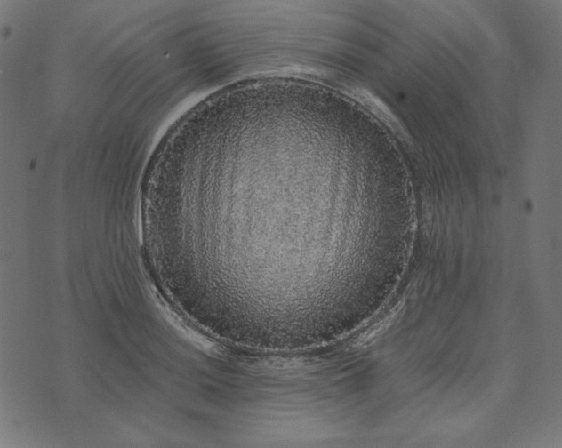 X0000073751036200608171326