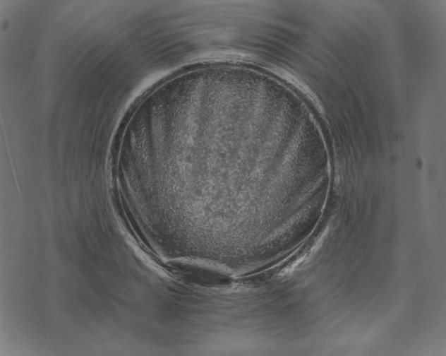 X0000073751037200608171326