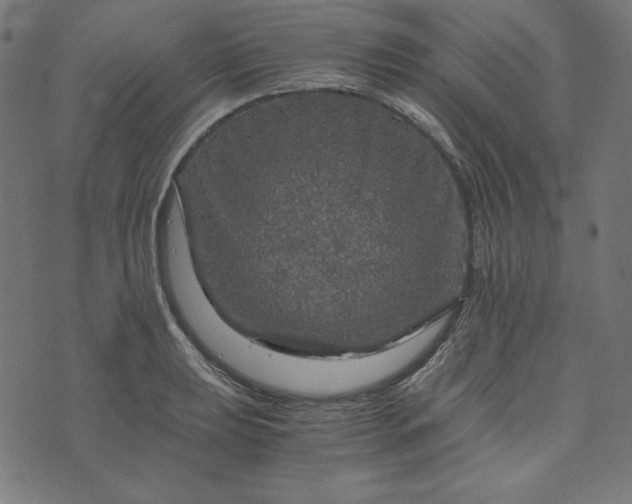 X0000073751039200608171326