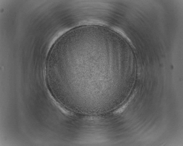 X0000073751040200608171326