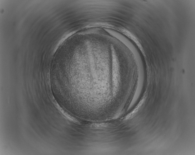 X0000073751041200608171326