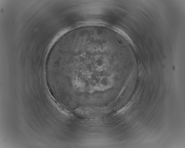 X0000073751043200608171326