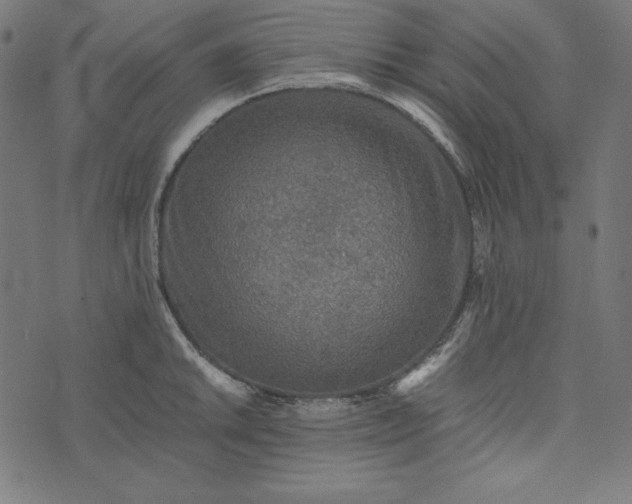 X0000073751046200608171326