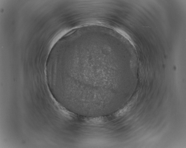 X0000073751047200608171326