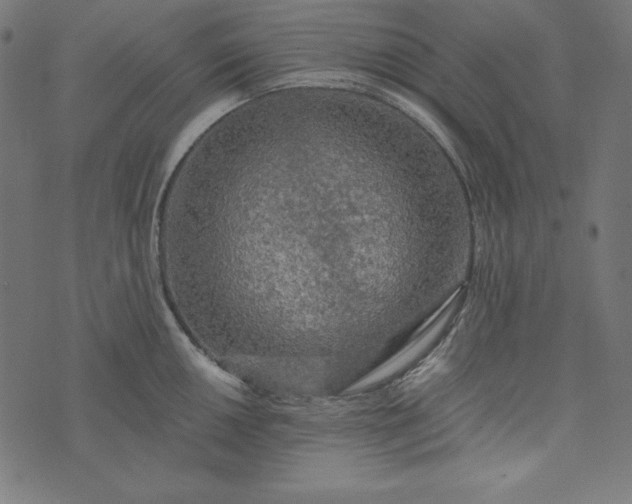 X0000073751050200608171326