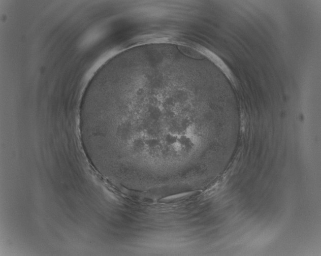 X0000073751051200608171326