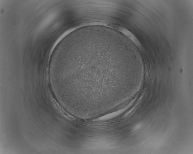 X0000073751052200608171326