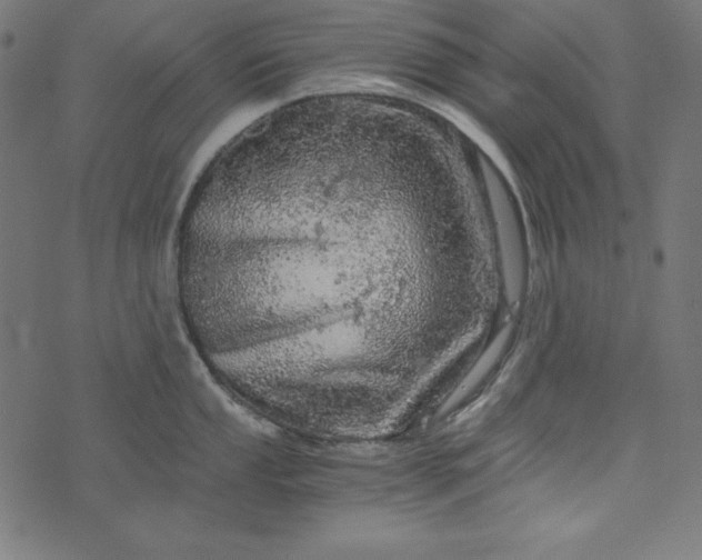 X0000073751053200608171326