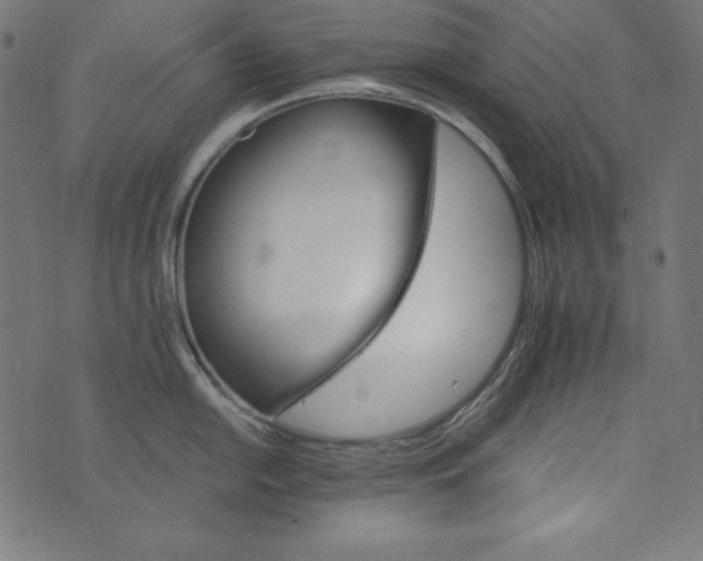 X0000073751054200608171326