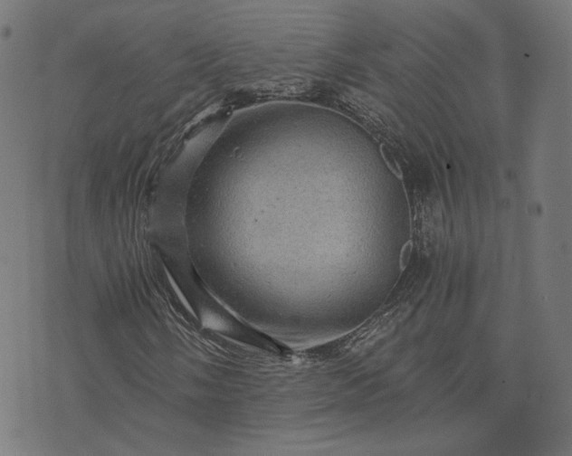 X0000073751058200608171325