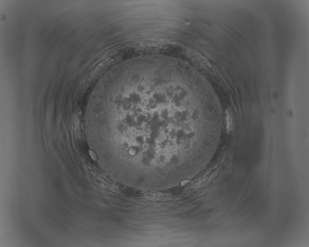 X0000073751059200608171325