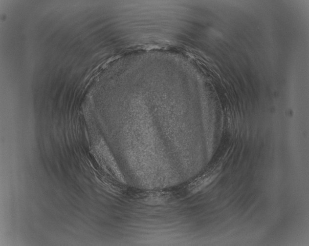 X0000073751060200608171325