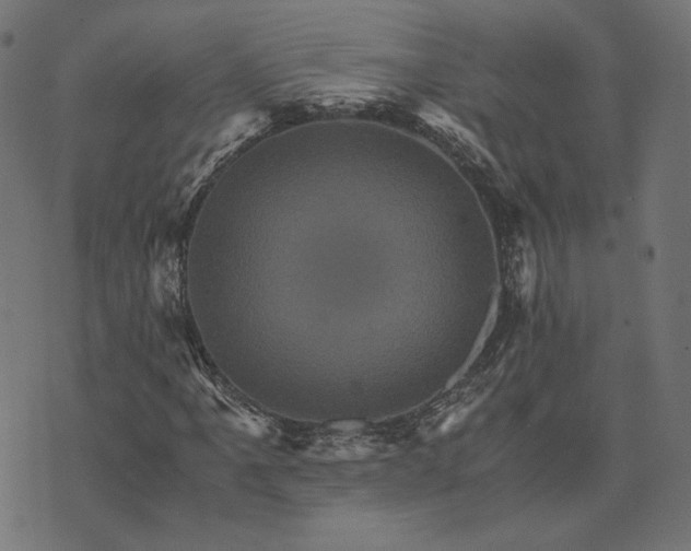 X0000073751061200608171325