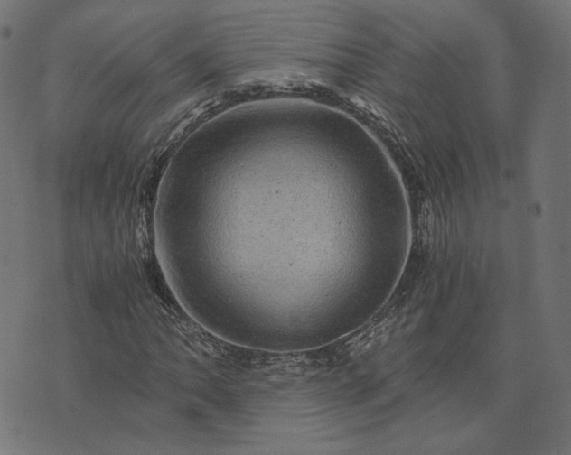 X0000073751062200608171325