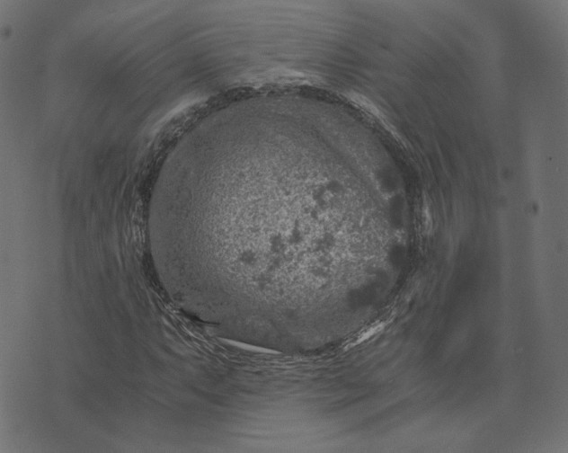 X0000073751063200608171325