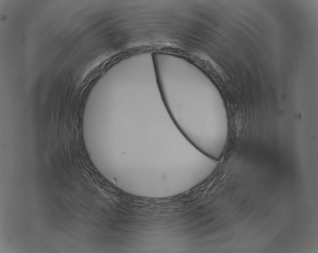 X0000073751064200608171325