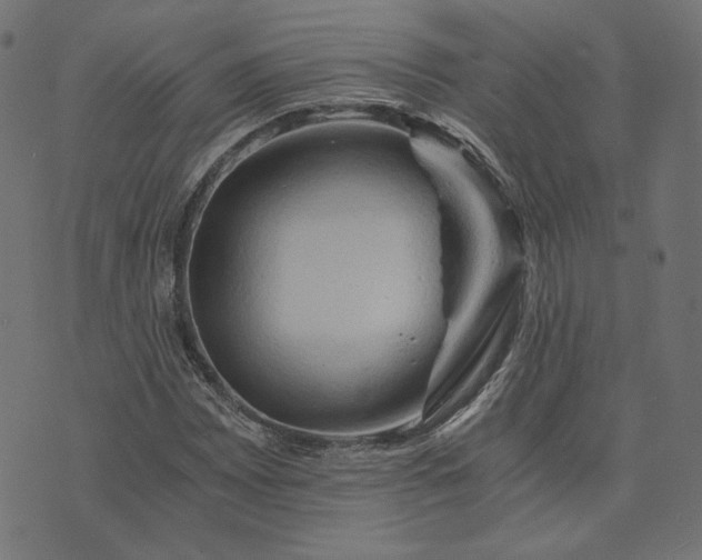 X0000073751065200608171325