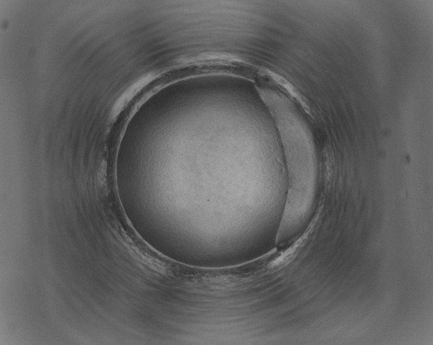 X0000073751066200608171325